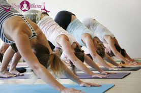 lezioni di ashtanga yoga a torino lezioni di yoga a torino